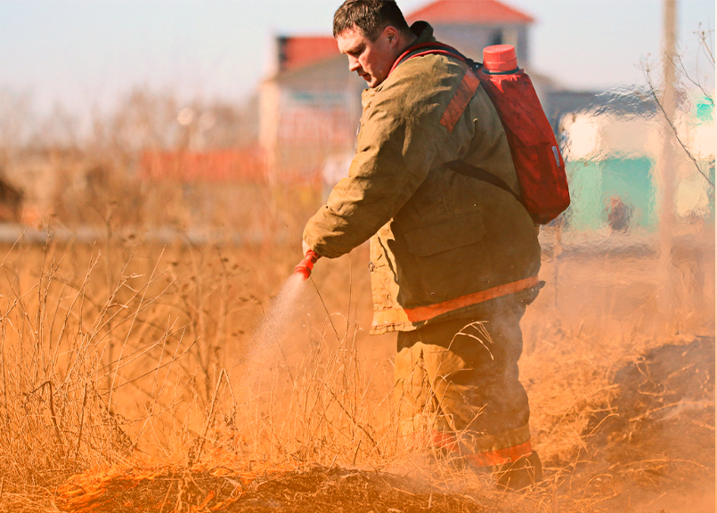 Incêndios Florestais: Impactos, Causas e Como Combater 5 photoblog 16 brigada acao