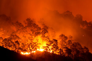 incêndios florestais