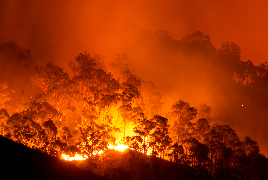 Incêndios Florestais: Impactos, Causas e Como Combater 4 incêndios florestais