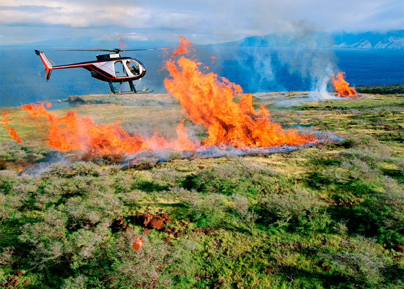 BLOG 35 INCENDIO FLORESTAL