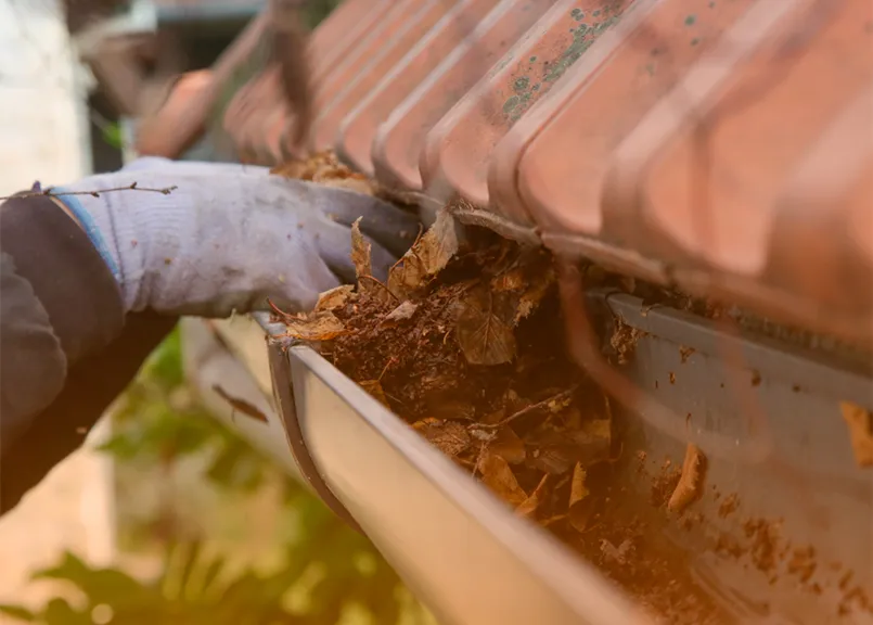 BLOG 39 CALHA ENTUPIDA