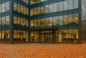 Imagem de Capa: folhas secas acumuladas perto de uma edificação comercial.